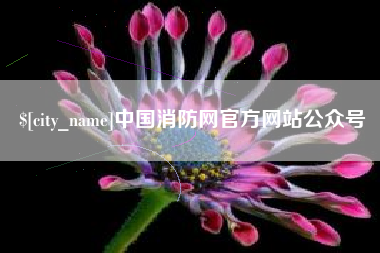 济南中国消防网官方网站公众号