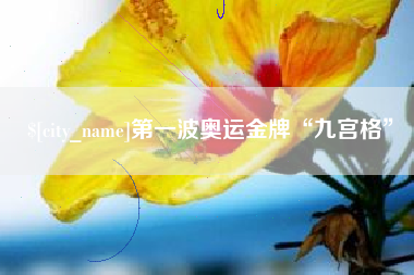 济南第一波奥运金牌“九宫格”
