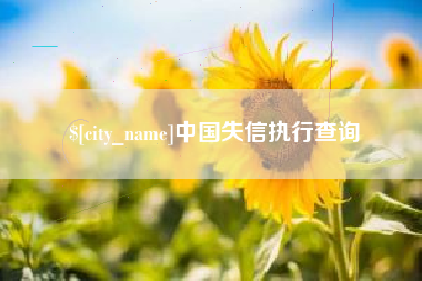 济南中国失信执行查询
