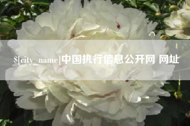 济南中国执行信息公开网 网址