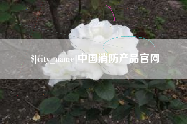 济南中国消防产品官网