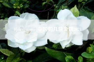 济南中国的几块金牌2021