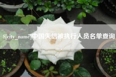 济南中国失信被执行人员名单查询