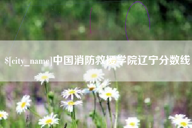 济南中国消防救援学院辽宁分数线