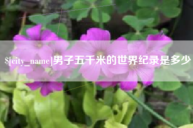 济南男子五千米的世界纪录是多少