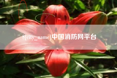 济南中国消防网平台