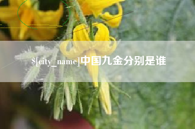 济南中国九金分别是谁