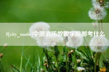 济南中国消防救援学院都考什么