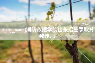 济南消防救援学院山东招生录取分数线2020