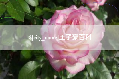 济南王子豪百科