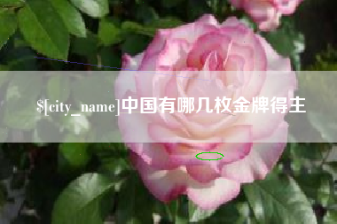 济南中国有哪几枚金牌得主