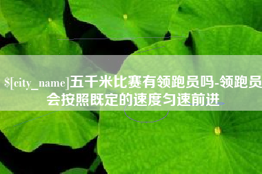 济南五千米比赛有领跑员吗-领跑员会按照既定的速度匀速前进