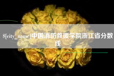 济南中国消防救援学院浙江省分数线