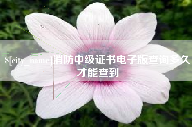 济南消防中级证书电子版查询多久才能查到