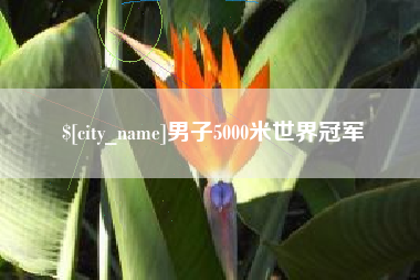 济南男子5000米世界冠军