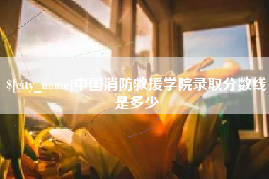 济南中国消防救援学院录取分数线是多少