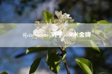 济南男子5000米金牌