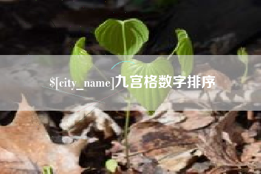 济南九宫格数字排序