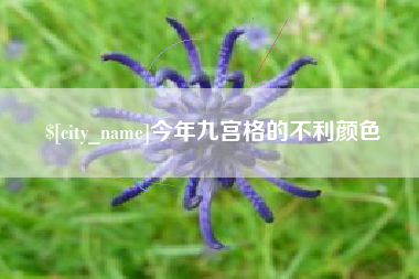 济南今年九宫格的不利颜色
