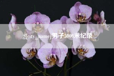 济南男子5000米纪录