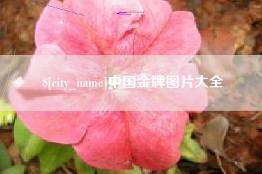 济南中国金牌图片大全