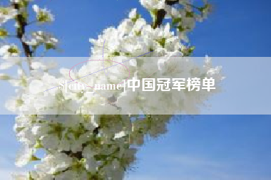 济南中国冠军榜单