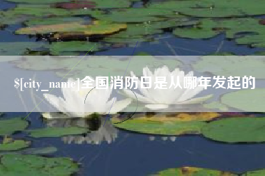 济南全国消防日是从哪年发起的