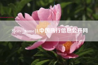 济南1.中国执行信息公开网