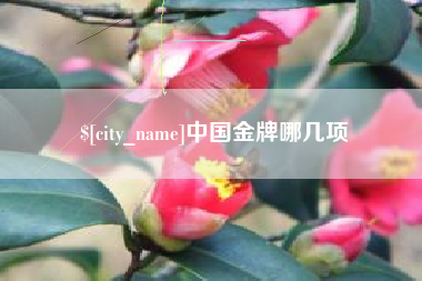 济南中国金牌哪几项