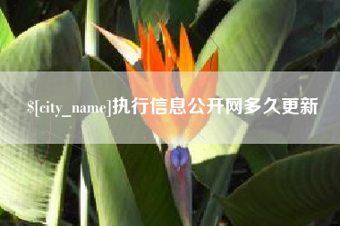 济南执行信息公开网多久更新
