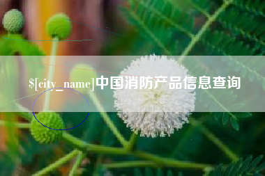 济南中国消防产品信息查询