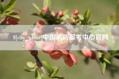 济南中国消防报考中心官网