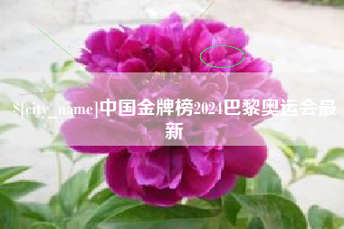 济南中国金牌榜2024巴黎奥运会最新