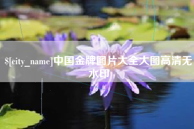 济南中国金牌图片大全大图高清无水印