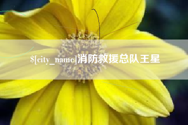 济南消防救援总队王星