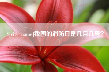 济南我国的消防日是几月几号？