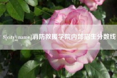 济南消防救援学院内部招生分数线