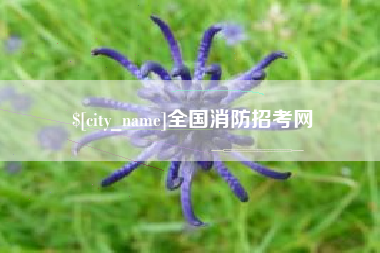 济南全国消防招考网