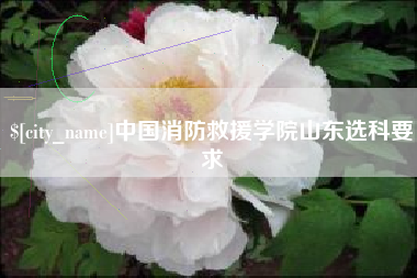 济南中国消防救援学院山东选科要求