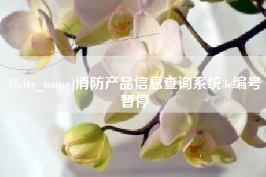 济南消防产品信息查询系统3c编号暂停