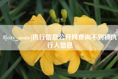 济南执行信息公开网查询不到被执行人信息