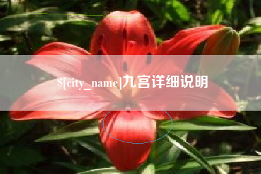 济南九宫详细说明