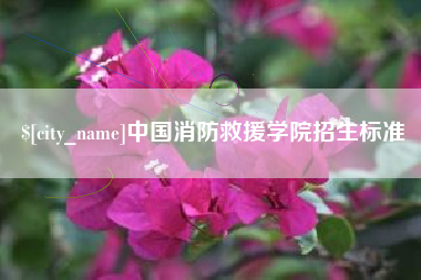 济南中国消防救援学院招生标准