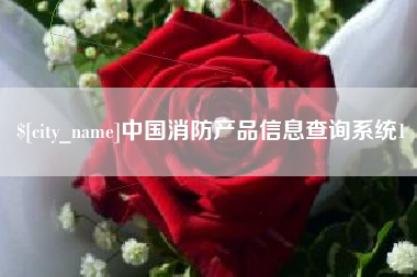 济南中国消防产品信息查询系统1