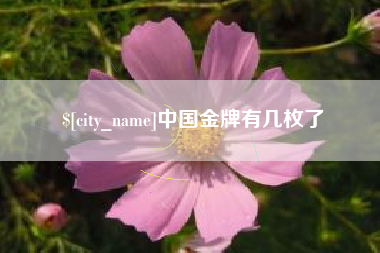 济南中国金牌有几枚了