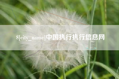 济南中国执行执行信息网