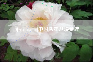 济南中国队第八块金牌