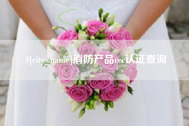 济南消防产品ccc认证查询