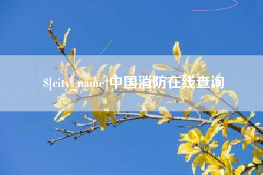济南中国消防在线查询