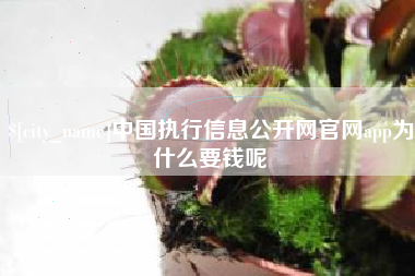 济南中国执行信息公开网官网app为什么要钱呢